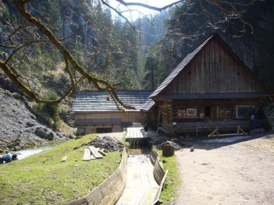 Penzion Janka Zuberec Buitenkant foto