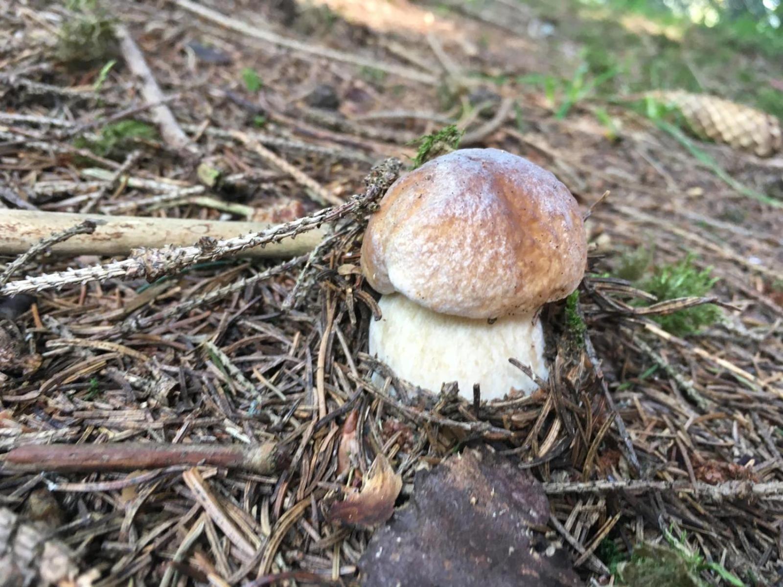 Penzion Janka Zuberec Buitenkant foto