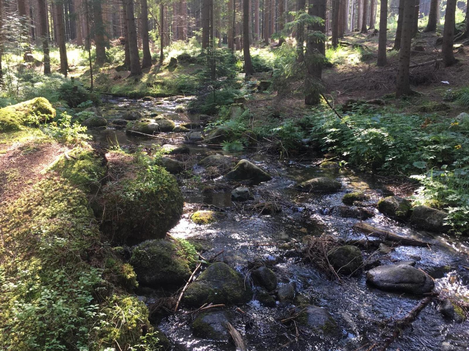 Penzion Janka Zuberec Buitenkant foto